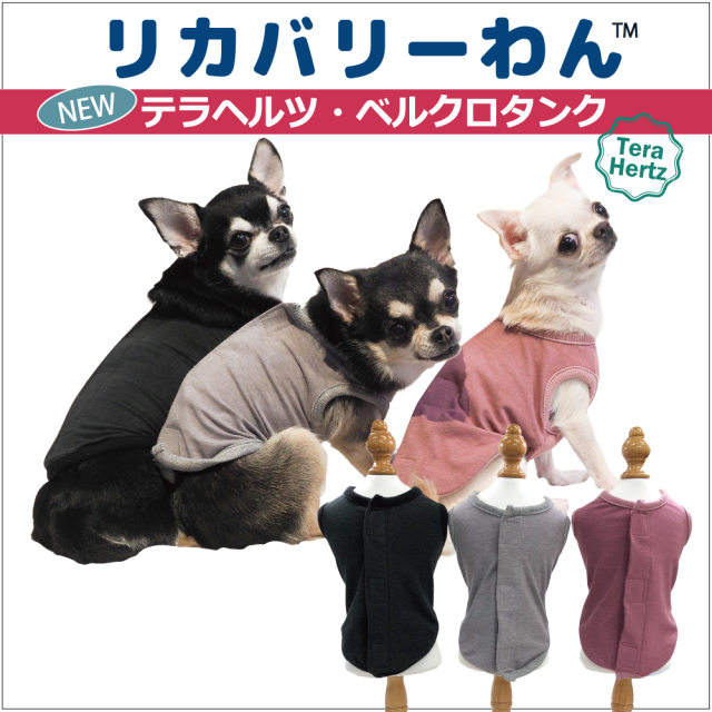犬リカバリーウェア　着脱ラクチン【テラヘルツ・ベルクロタンク】（３色）50052[犬服][SSからSL] 背中開きタンク
