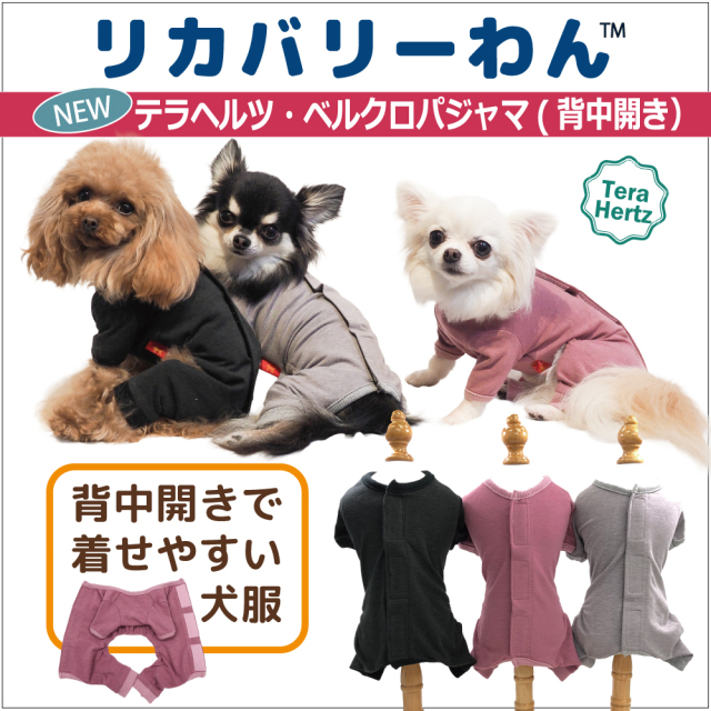 【2/10再入荷】犬リカバリーウェア  着脱ラクチン【テラヘルツ・ベルクロパジャマ】（３色）50053[犬服][SSからSL] 背中開きパジャマ シニア犬 犬介護服
