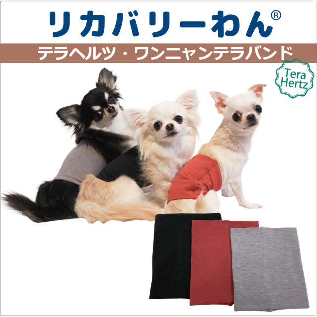 犬リカバリーグッズ 爆売れ人気商品!　 テラヘルツ・ワンニャンテラブランケット 1/23再入荷】犬リカバリーグッズ 犬介護 爆売れ人気商品! 【テラヘルツ