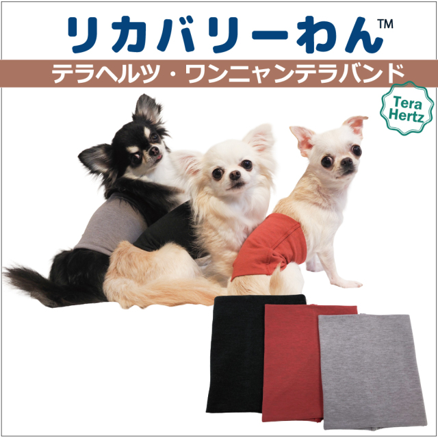 犬リカバリーグッズ  爆売れ人気商品!　【テラヘルツ・ワンニャンテラバンド(腹巻き)】5014(3色)[犬腹巻き][SSから3L] ネコポス便OK シニア犬 犬介護用品
