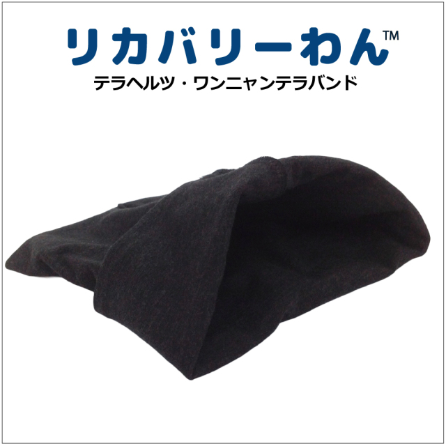 1/23再入荷】犬リカバリーグッズ 犬介護 爆売れ人気商品! 【テラヘルツ