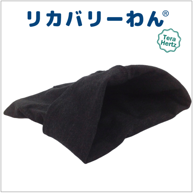 1/23再入荷】犬リカバリーグッズ 犬介護 爆売れ人気商品! 【テラヘルツ