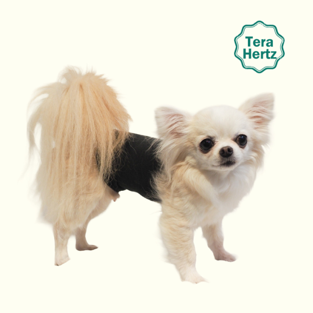 犬リカバリーグッズ 爆売れ人気商品! 【テラヘルツ・ワンニャンテラ