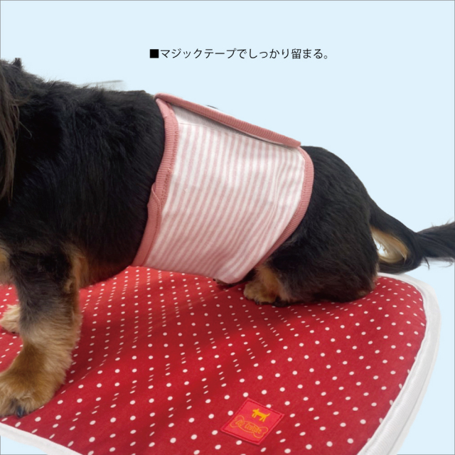 椎間板ヘルニアコルセット 犬 用 サポーター 腰 在庫限り 大ヒット商品