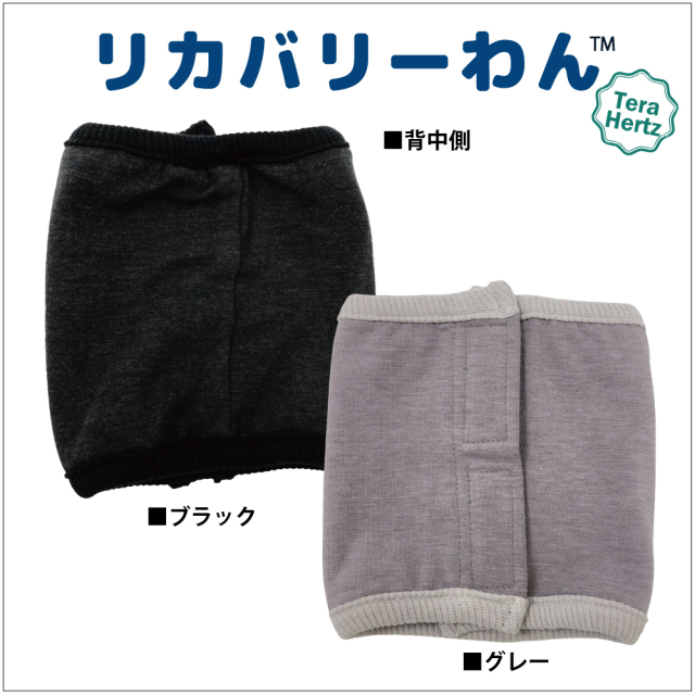 犬リカバリーグッズ  めちゃ売れ！【 テラヘルツ・ベルクロテラバンド女の子用腹巻き】（マジックテープ付き腹巻き)
