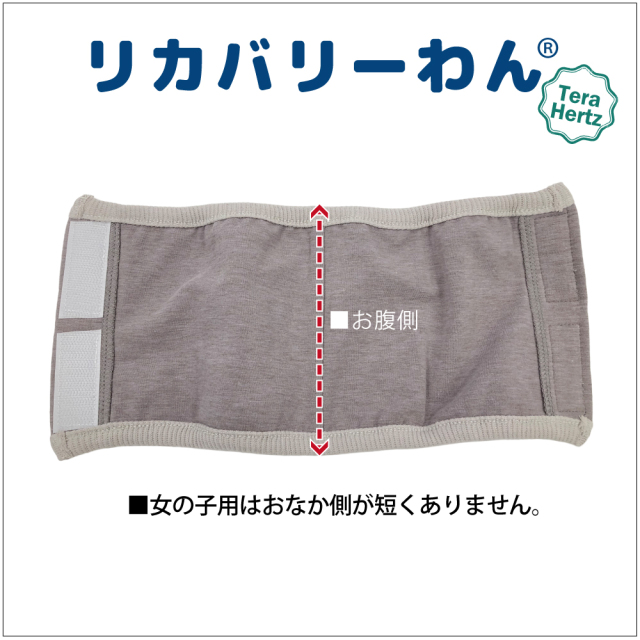 通年グッズ