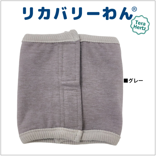 通年グッズ