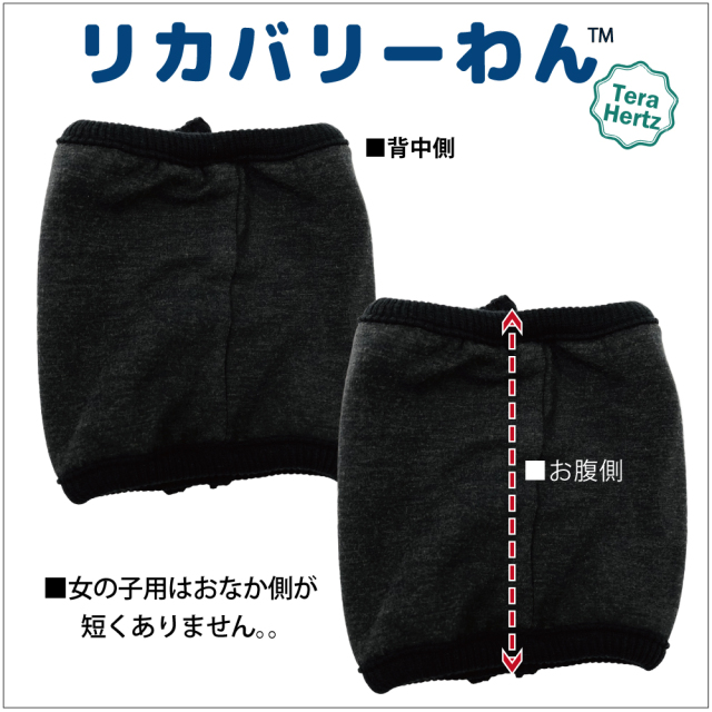 犬リカバリーグッズ  めちゃ売れ！【 テラヘルツ・ベルクロテラバンド女の子用腹巻き】（マジックテープ付き腹巻き)