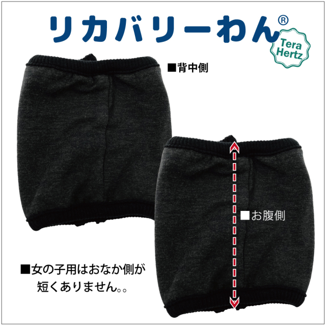 通年グッズ