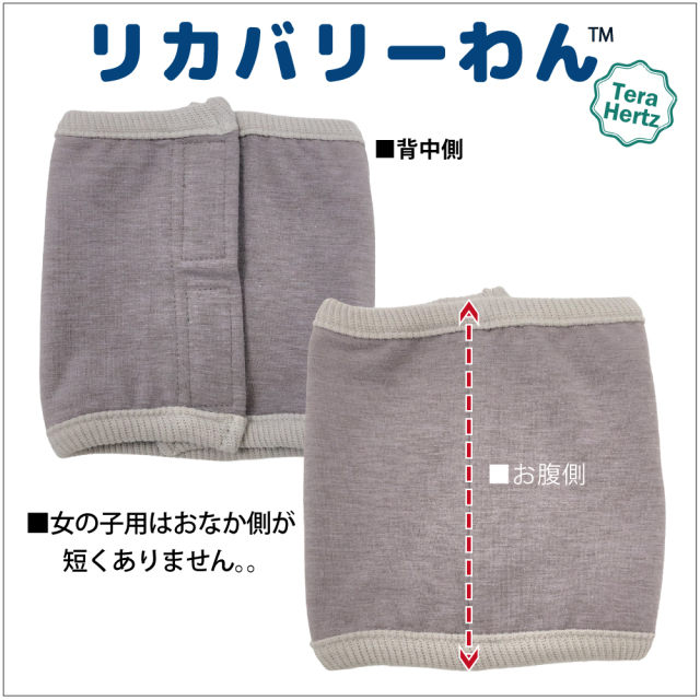 犬リカバリーグッズ  めちゃ売れ！【 テラヘルツ・ベルクロテラバンド女の子用腹巻き】（マジックテープ付き腹巻き)