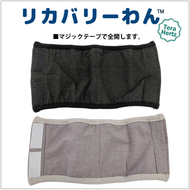 犬リカバリーグッズ  めちゃ売れ！【 テラヘルツ・ベルクロテラバンド女の子用腹巻き】（マジックテープ付き腹巻き)