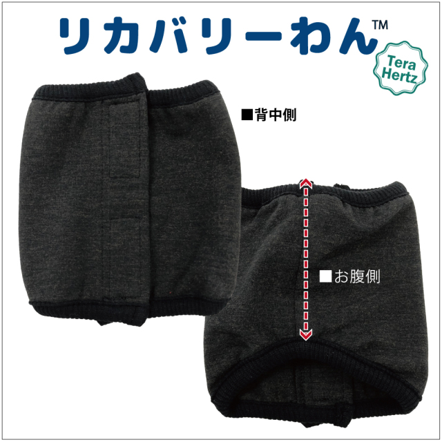 犬リカバリーグッズ  めちゃ売れ！【 テラヘルツ・ベルクロテラバンド男の子用腹巻き】（マジックテープ付き腹巻き)