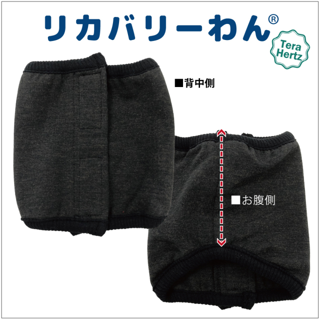 通年グッズ