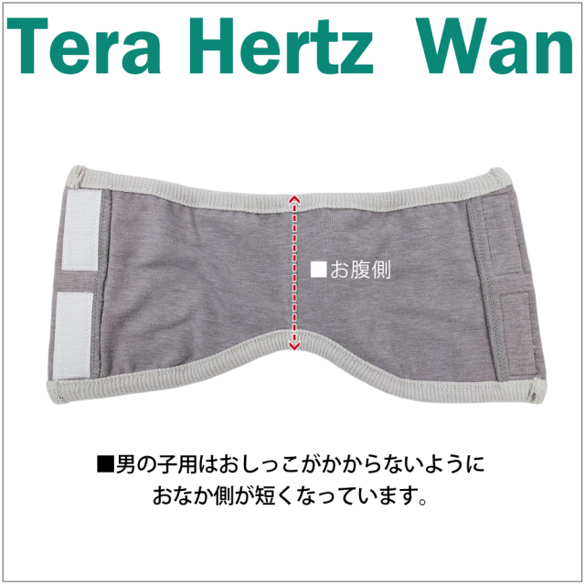 【 テラヘルツワン・ベルクロテラバンド男の子用腹巻き】(腹巻き(2色) 7220[犬腹巻き][SSから3L]