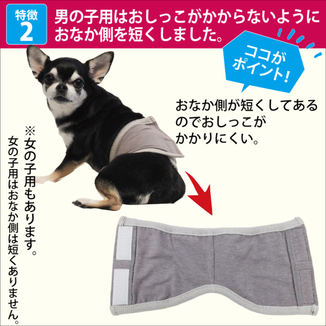 【 テラヘルツワン・ベルクロテラバンド男の子用腹巻き】(腹巻き(2色) 7220[犬腹巻き][SSから3L]