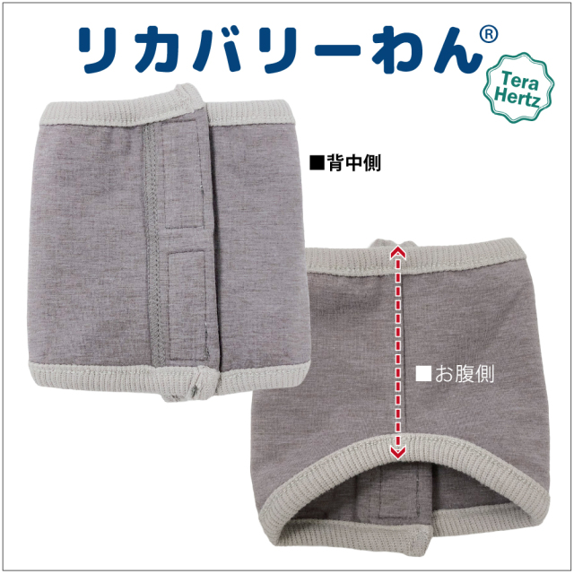 通年グッズ