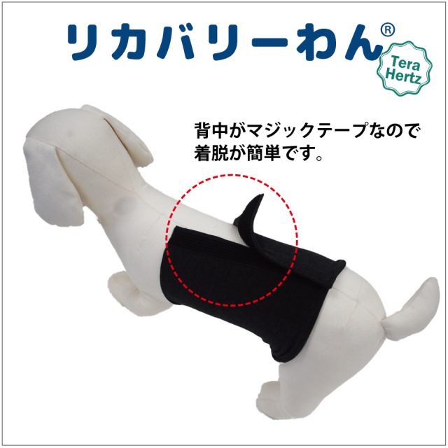 通年グッズ