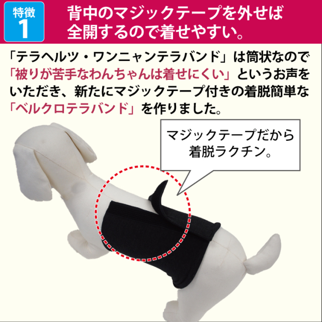犬リカバリーグッズ  めちゃ売れ！【 テラヘルツ・ベルクロテラバンド男の子用腹巻き】（マジックテープ付き腹巻き)