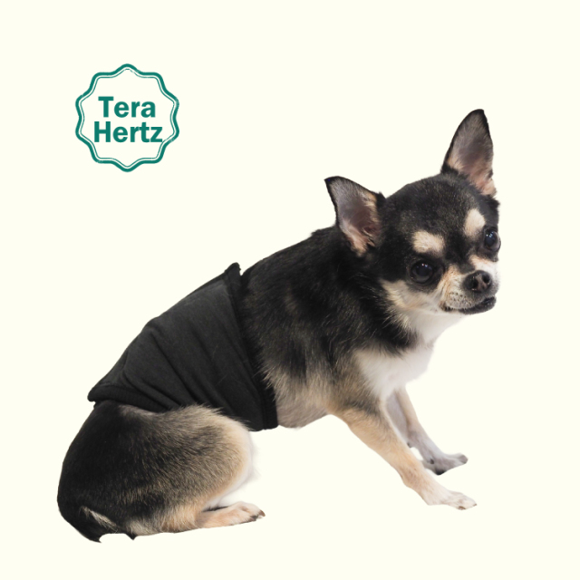 犬リカバリーグッズ  めちゃ売れ！【 テラヘルツ・ベルクロテラバンド男の子用腹巻き】（マジックテープ付き腹巻き)