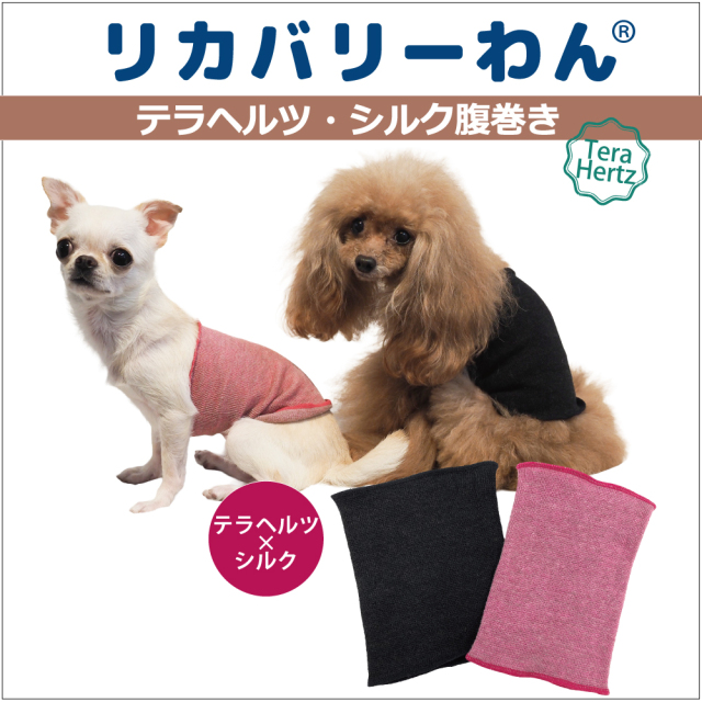 テラヘルツワンの商品一覧