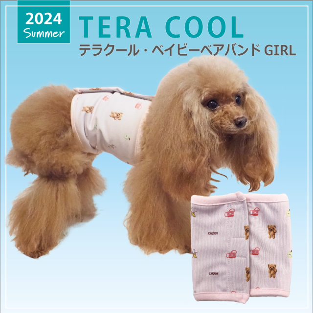【6/11入荷】2024夏物新作ベルクロテラバンド【テラクール・ベイビーベアバンドGIRL】7309[犬腹巻き女の子用][SSから3L]