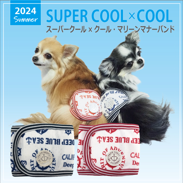 【6/17入荷】2024夏物新作マナーバンド 【スーパークール×クール・マリーンマナーバンド】（2色）7310[犬マナーバンド][SSから3L]
