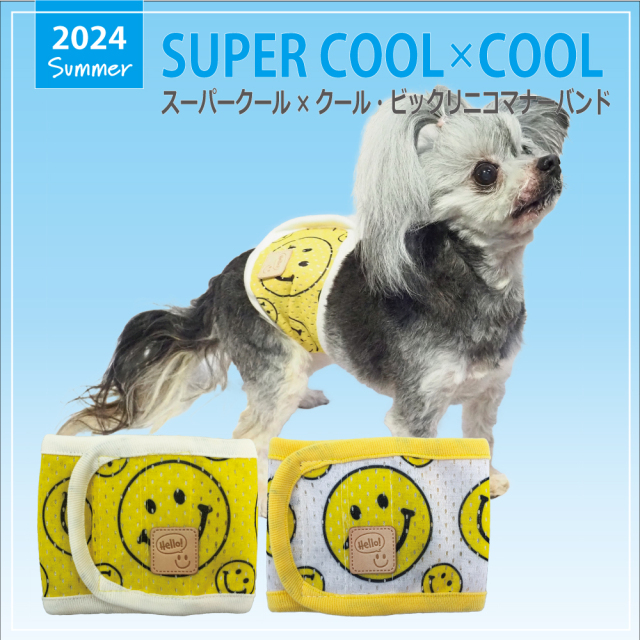 【6/13入荷】2024夏物新作マナーバンド 【スーパークール×クール・ビックリニコマナーバンド】（2色）7311[犬マナーバンド][SSから3L]