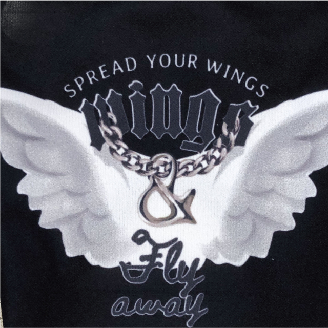 2025夏物新作マナーバンド 【スーパークール×クール・マナーバンド2025】（2柄）7328[犬マナーバンド][SSから3L]