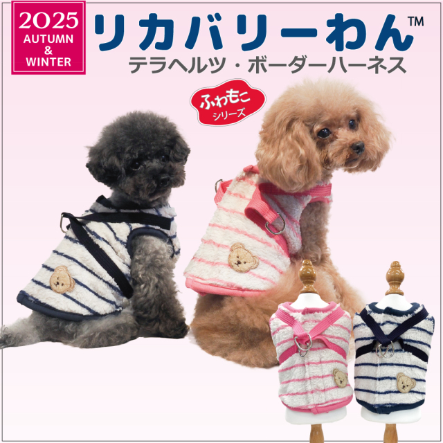 2025クークチュール秋冬新作 【テラヘルツ・ボーダーハーネス】（2色）7332[犬服][SSから3L]　犬ハーネス