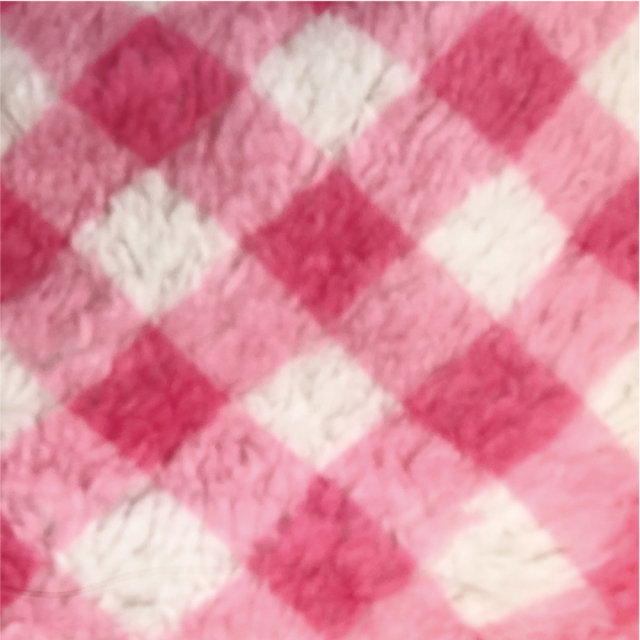 2025クークチュール秋冬新作 【テラヘルツワン・ヴィシーベルクロテラバンドGIRL】