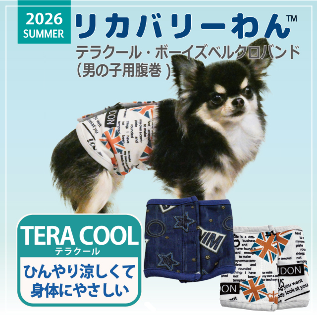2026夏物新作ベルクロテラバンド 【テラクール・ガールズベルクロバンド】（2色）7346[女の子用犬腹巻き][SSから3L]