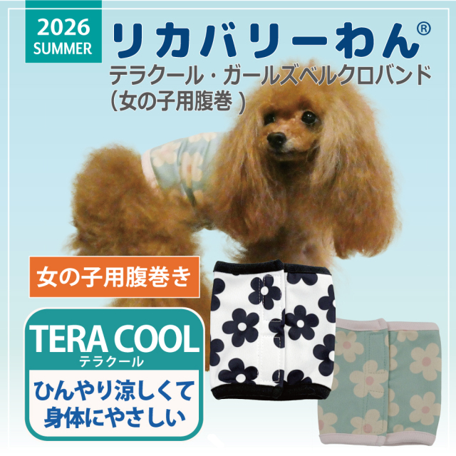 6/1入荷】2026夏物新作ベルクロテラバンド 犬リカバリーグッズ[熱中症