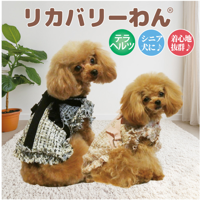 【10月中旬から下旬入荷予定】犬リカバリーグッズ 2026クークチュール秋冬新作 【テラヘルツ・ドリスハーネス】[SSから3L]（2色）7347[犬ハーネス]