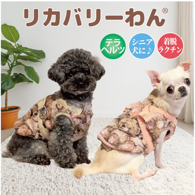 テラヘルツ・ブローイングベアハーネス