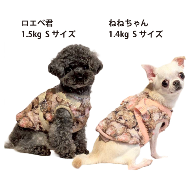 テラヘルツ・ブローイングベアハーネス
