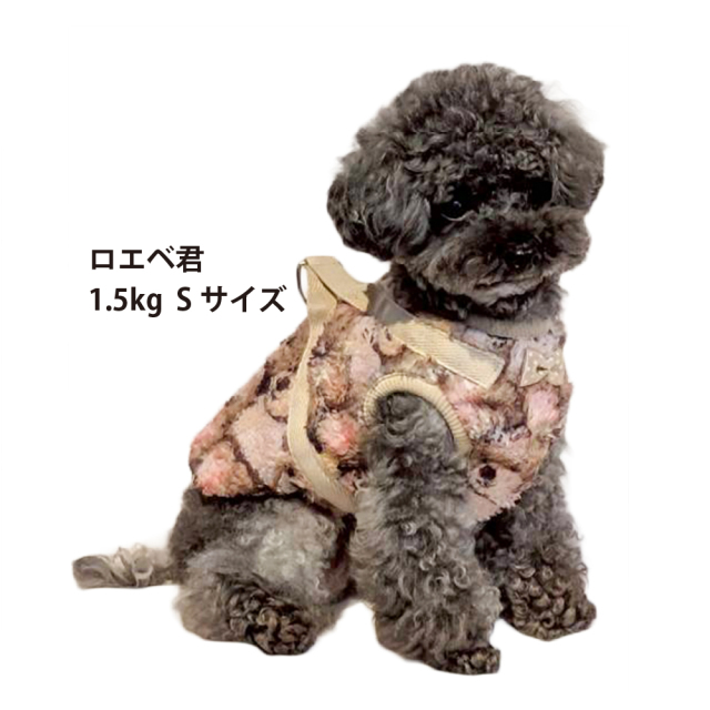 テラヘルツ・ブローイングベアハーネス