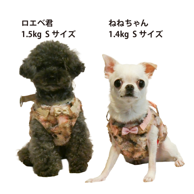 テラヘルツ・ブローイングベアハーネス