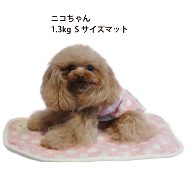 テラヘルツ・マカロンドットマット