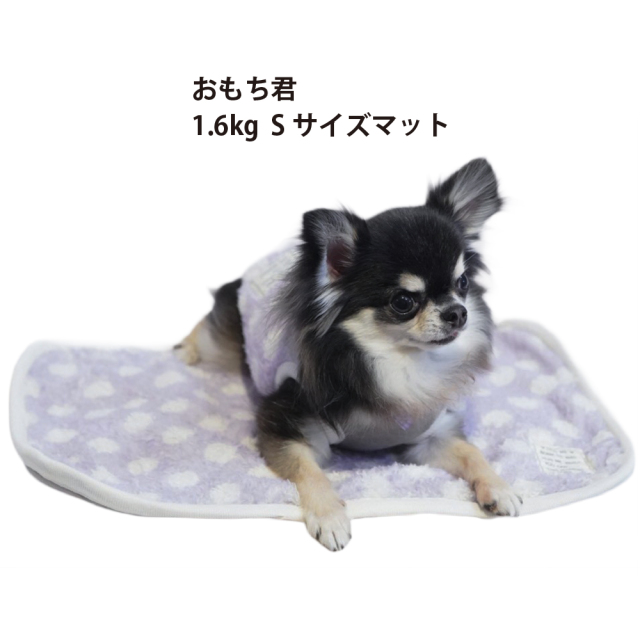 テラヘルツ・マカロンドットマット