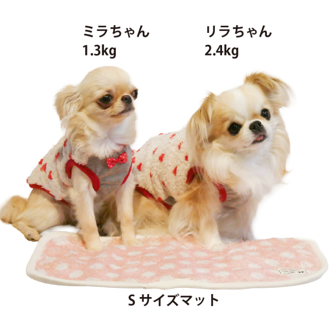 テラヘルツ・マカロンドットマット