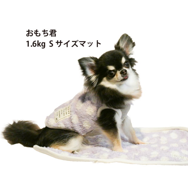 テラヘルツ・マカロンドットマット