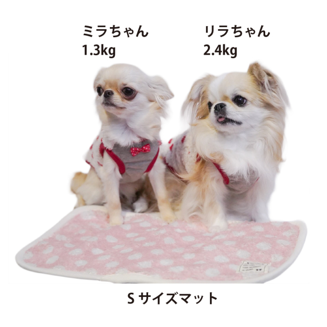 テラヘルツ・マカロンドットマット