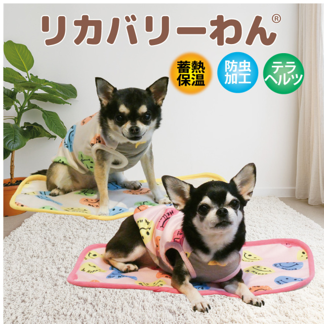 【9月中旬から下旬入荷予定】犬リカバリーグッズ 2026クークチュール秋冬新作 【ヒートテラ・ポッピンスマイルマット】[S /M /L]（2色）7351[犬マット]