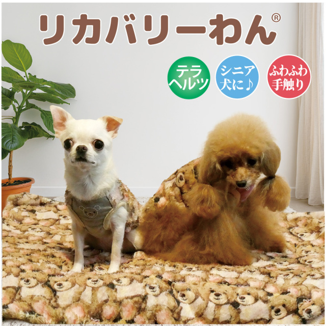 【10月中旬から下旬入荷予定】犬リカバリーグッズ 2026クークチュール秋冬新作グッズ 【テラヘルツ・ブローイングベアブランケット】[70cm×60cm]（1柄）7352[犬ブランケット]