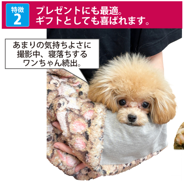 テラヘルツ・ブローイングベアブランケット