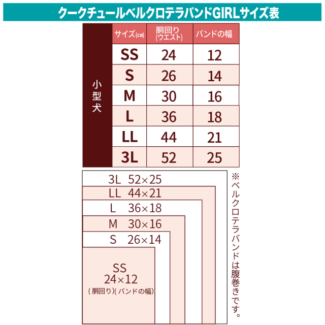 テラヘルツ・MOUMOUベルクロバンド