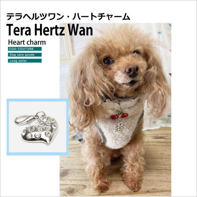 犬介護  Xmasプレゼントに最適! ラブリーなキラキラハート! 【Tera Hertz Wan ハートチャーム】8052[犬用アクセサリー][M/L]