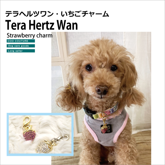 犬介護  Xmasプレゼントに最適! 可愛いキラキラいちご! 【Tera Hertz Wan いちごチャーム】8053[犬用アクセサリー]