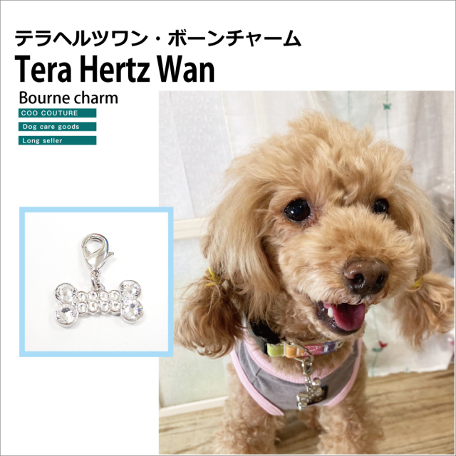 犬介護  Xmasプレゼントに最適! 可愛いキラキラボーン!  【Tera Hertz Wan ボーンチャーム】8054 [犬用アクセサリー]