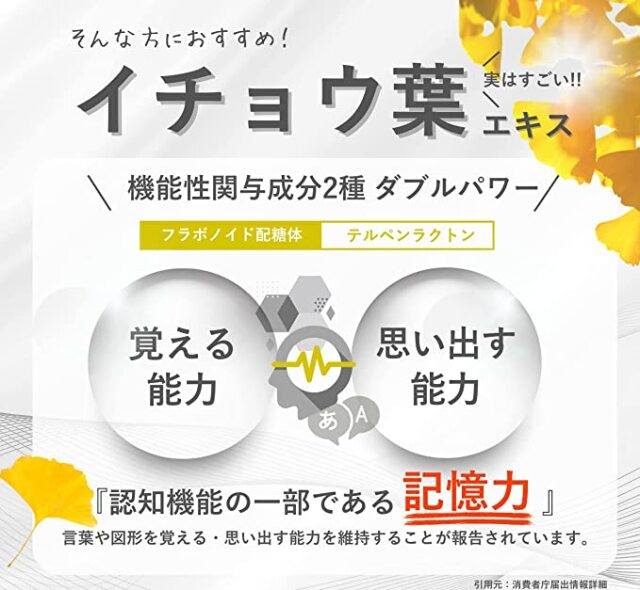 キオクチャージ